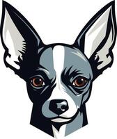 Portrait of a Black and White Chihuahua vector