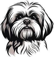 Portrait of a Shih Tzu Dog vector