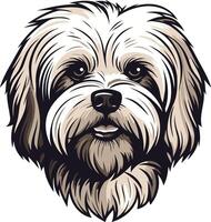 Adorable Shih Tzu Puppy with Big, Brown Eyes vector