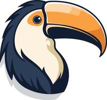 Toucan Illustration with a Large Beak vector