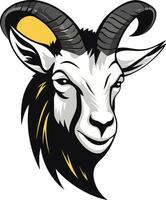 Close-up Portrait of a Mountain Goat vector