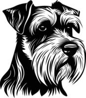 A striking black and white illustration of a miniature schnauzer, showcasing its distinctive facial features and fluffy fur vector