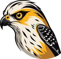 Illustration of a Hawk with Yellow and Black Feathers vector