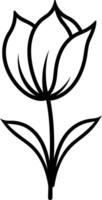 Simple line drawing of a single tulip flower vector