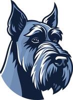 Close Up Portrait of a Schnauzer vector