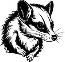 A detailed black and white illustration of a opossum with a fierce and determined expression vector