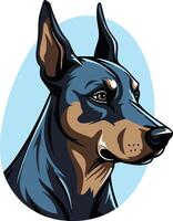 Portrait of a Doberman Pinscher vector