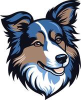 Portrait of a Border Collie vector