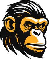 Close Up of a Chimpanzee's Face vector