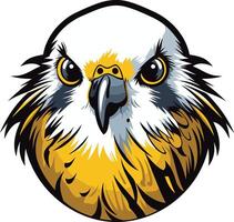 Close Up Portrait of a Hawk vector