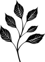 Simple black silhouette of a leaf branch, perfect for design projects, invitations, or as a decorative element vector