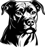 A bold and striking black and white illustration of a pit bull's head, ideal for designs that need a strong and powerful canine presence vector