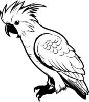 Black and white line drawing illustration of a cockatoo parrot, perfect for tattoo design, coloring pages, or any project needing a bold, tropical design vector