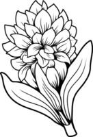 A delicate line drawing of a hyacinth flower, perfect for adding a touch of nature to your design projects vector