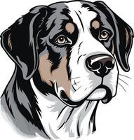 Portrait of a Bernese Mountain Dog vector
