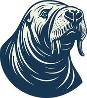 Walrus Head Illustration vector