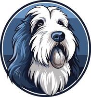 Portrait of a Bearded Collie Dog vector