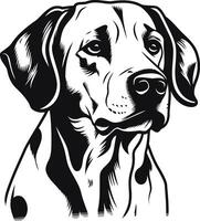 Dalmatian Dog Portrait in Black and White vector