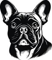 Portrait of a French Bulldog vector