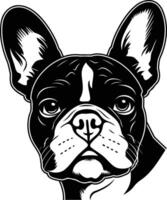 A black and white illustration of a french bulldog, facing the viewer with a friendly expression vector