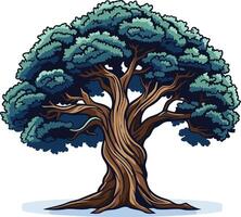 Ancient Tree with Twisted Trunk and Lush Canopy vector