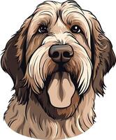 Portrait of a Brown and White Dog vector