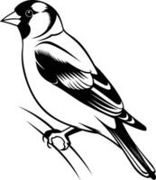 A striking black and white illustration of a bird, captured in a dynamic pose, perfect for adding a touch of nature to designs vector