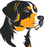 Bernese Mountain Dog Portrait Illustration vector