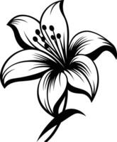 Elegant black and white lily flower illustration, perfect for adding a touch of nature to your designs vector