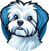 Portrait of a Shih Tzu Dog vector