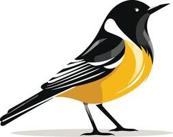 Black and Yellow Bird on White Background vector