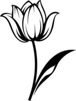 Elegant black and white line drawing of a single tulip, perfect for adding a touch of nature to your designs vector
