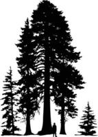 A dramatic silhouette of towering trees against a white background vector