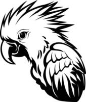 A striking black and white illustration of a parrot's head with a bold, stylized design vector
