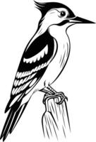 A bold black and white illustration of a woodpecker perched on a branch vector