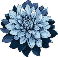 Blue Dahlia Flower Illustration vector