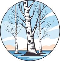 Three Birch Trees Against a Winter Sky vector