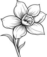 Elegant line drawing of a single daffodil flower, perfect for spring and nature themed designs vector