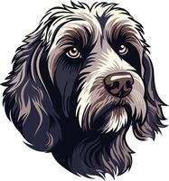 Portrait of a Wirehaired Pointing Griffon vector