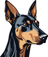 Portrait of a Doberman Pinscher vector