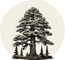 Majestic Cedar Tree in a Rustic Setting vector