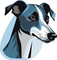 Portrait of a Whippet Dog vector