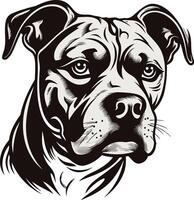 Portrait of a Pitbull Dog vector