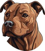 Portrait of a Brown Pit Bull vector