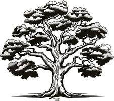 Detailed Illustration of a Large Tree with Extensive Branches vector