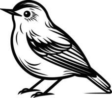 Black and white element illustration of a small bird with detailed feathers vector