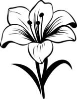 A simple yet elegant black and white line drawing of a lily flower vector