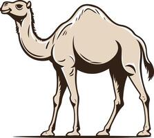 Illustration of a Camel with a Long Neck vector