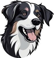 Smiling Australian Shepherd Portrait vector
