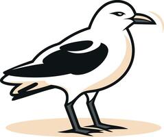 A Black-winged Seagull Standing on a Sandy Beach vector